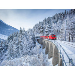 Trenino del Bernina in inverno